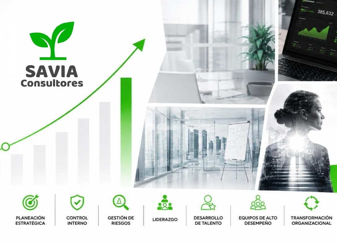 Consultoría empresarial